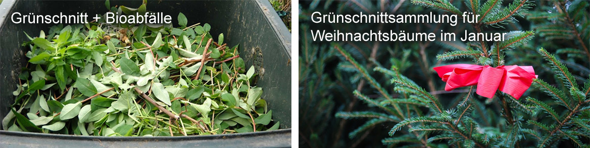Entsorgung von Grünschnitt und Bioabfall Geilenkirchen Gartenabfall