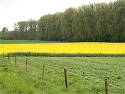 Landwirtschaft Geilenkirchen