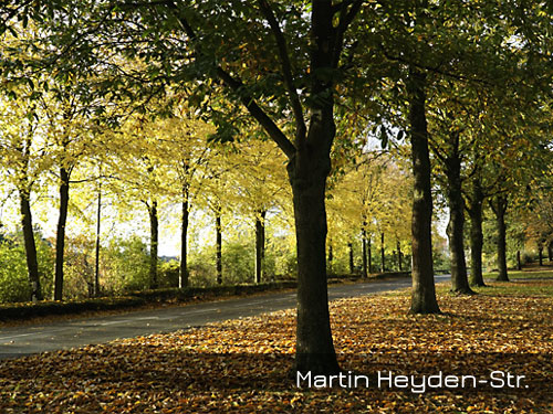 Herbst Geilenkirchen