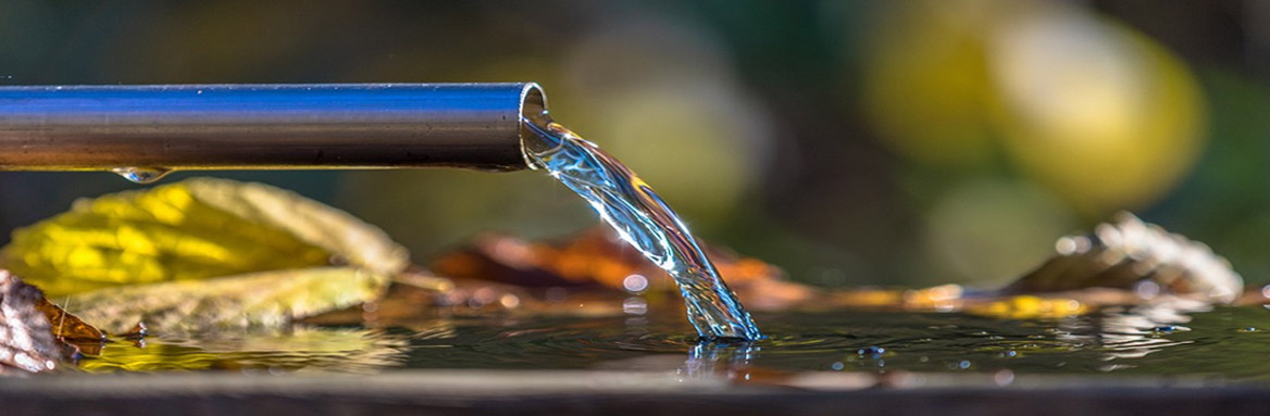 Trinkwasserbedarf der Rennmaus