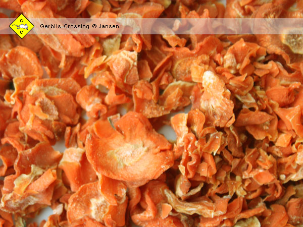 Rennmaus Futter Karotten in getrokneter Form
