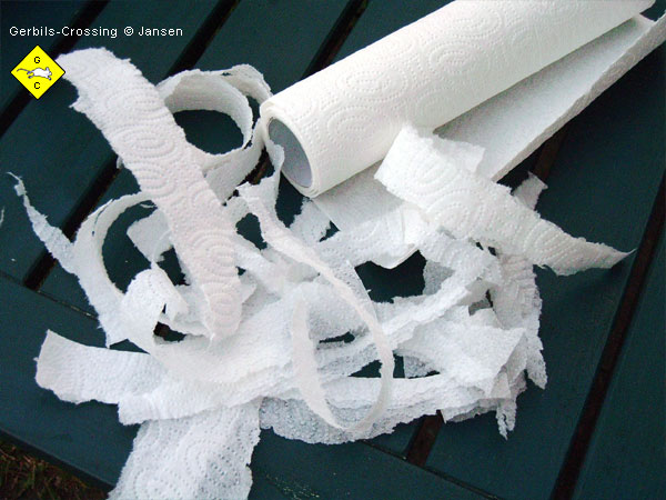 Nestmaterial Papierstreifen von der Küchenrolle