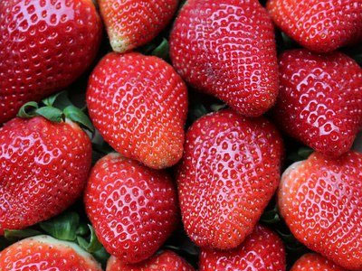 Rennmaus Obst Gemüse Erdbeeren