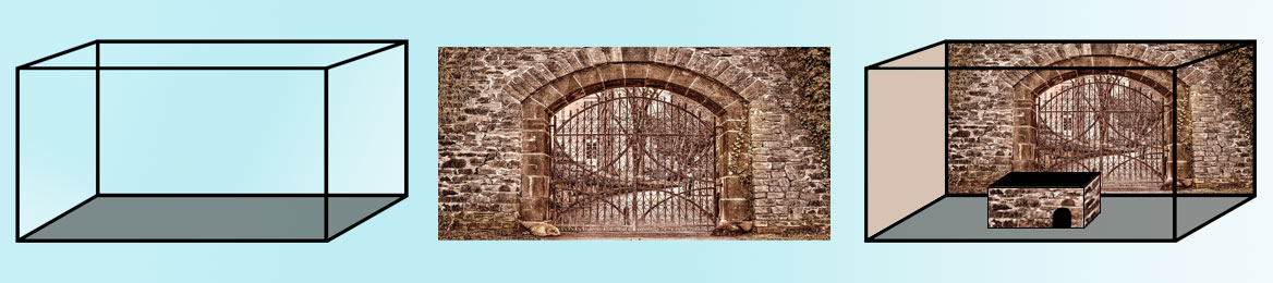 Rennmaus-Terrarium mit Hintergrundbild gestalten Gehege einrichten
