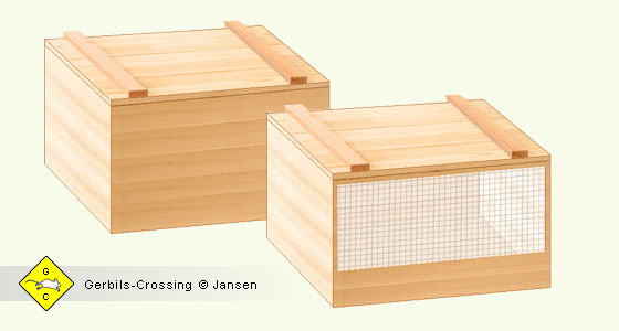Terrarium Box als Basis